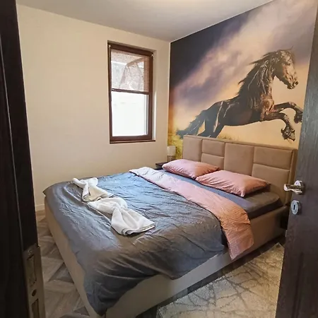 Cosy 5